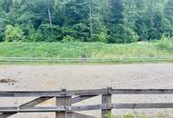 Exklusives Reitanwesen mit 6 Wohneinheiten & Bauland in traumhafter Lage nahe dem Klopeiner See