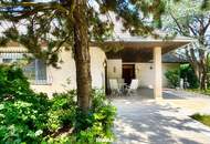 BUNGALOW - Strasshof/Schönkirchen Silberwald