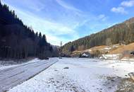 MÜRZSTEG - GEPFLEGTE, SONNIGE MIETWOHNUNG