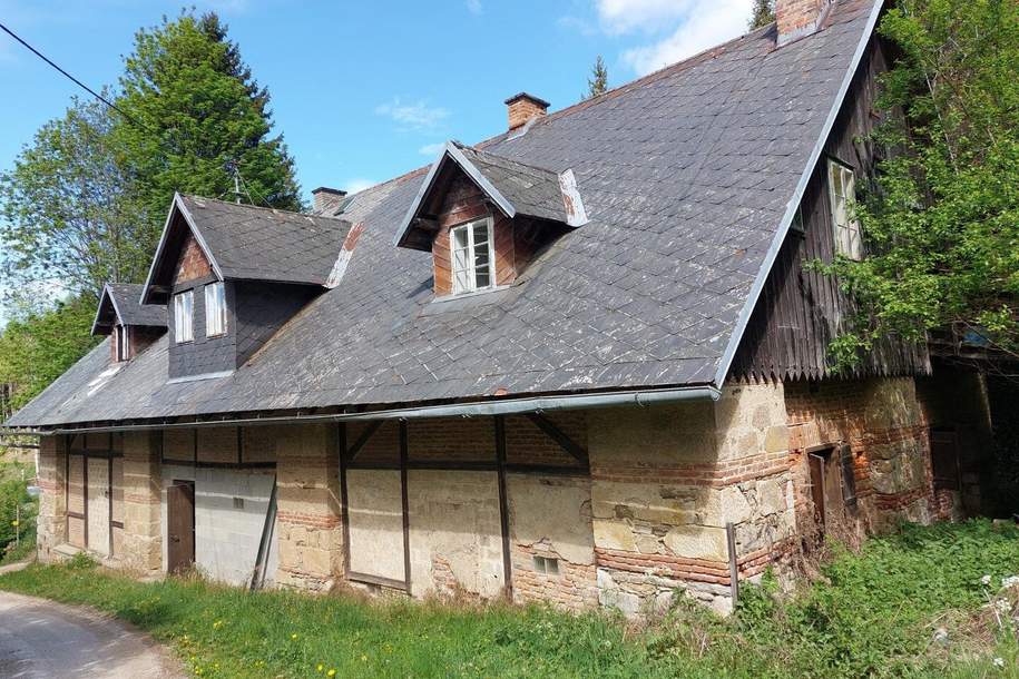 Historisches Wohnhaus in Knappenberg, Haus-kauf, 149.000,€, 9376 Sankt Veit an der Glan