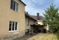 "Kraft, Vitalität und Harmonie"