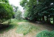 Altes Stein-Holzblockhaus mit großem Garten - perfekt für Naturliebhaber - aktuelle Fotos und Rundgang