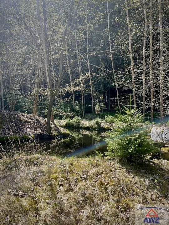 Autarkes Haus auf ca. 7670 m² mit Wald und Fischteich!