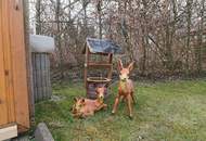 Ganzjährig im Kleingartenhaus - Urlaubsfeeling das ganze Jahr