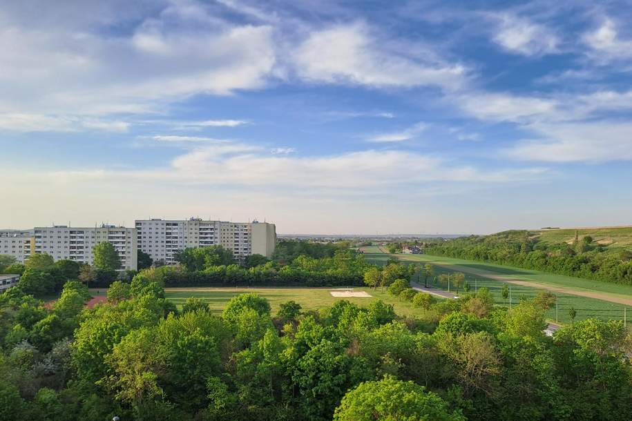 WEITBLICK, SEHR GUTE INFRASTRUKTUR &amp; GEPFLEGT MIT POTENTIAL FÜR IHRE WOHNIDEEN, Wohnung-kauf, 220.000,€, 1210 Wien 22., Donaustadt