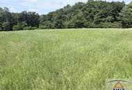 Landwirtschaftliche Flächen in der Nähe von Neuberg im Burgenland!
