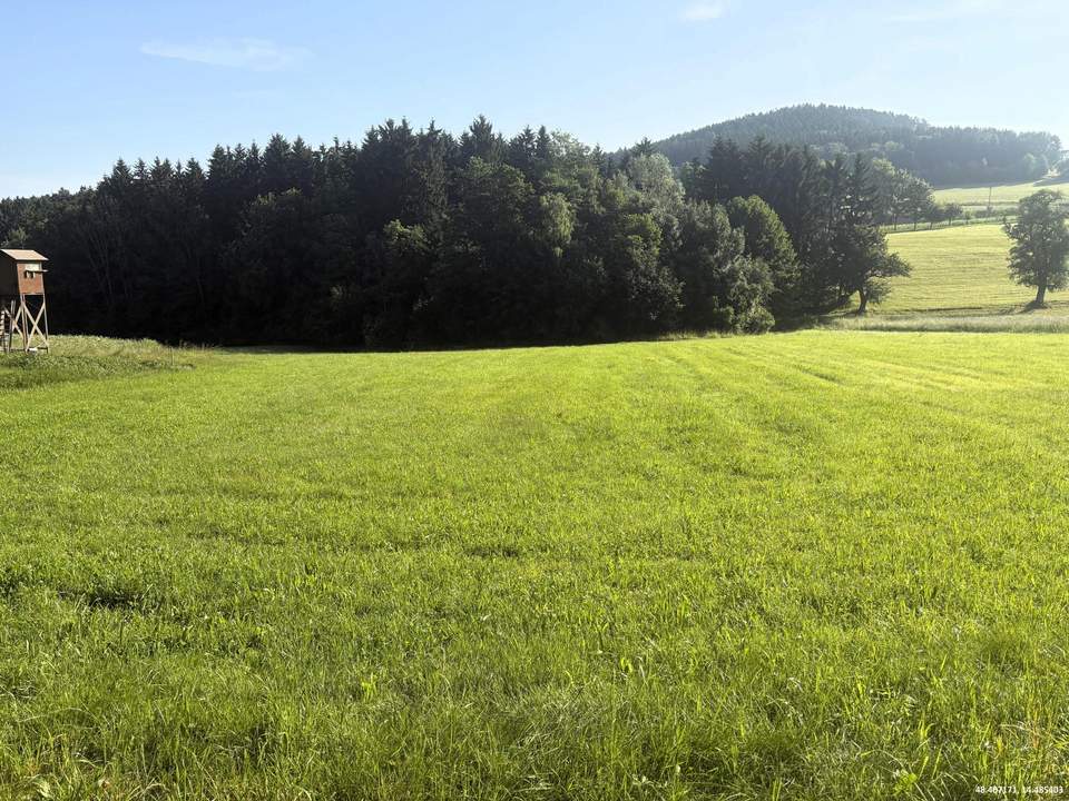 Wald- und landwirtschaftliche Nutzflächen