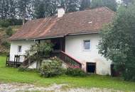 Uriges Bauernhaus in idyllischer Lage mit Wald und Wiesenflächen