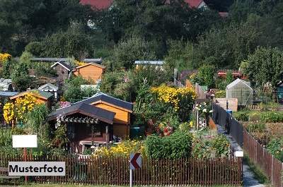 +++ Kleingarten mit Schwimmbecken +++