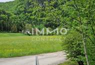 Zweifamilienhaus - absolute Alleinlage