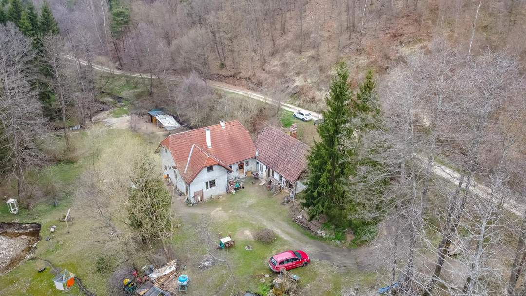 !! Neuer Preis !! Ein Rückzugsort mit Seele – Naturidylle trifft auf kreative Entfaltungsmöglichkeiten