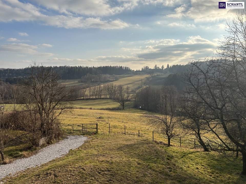 EINFAMILIENHAUS mit atemberaubendem AUSBLICK - Terrasse, Balkon und entzückender Garten mit Obstbäumen