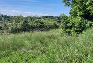 Traumhaftes Baugrundstück in Thallern: 4392 m² für Ihr Eigenheim um nur 249.000 €!