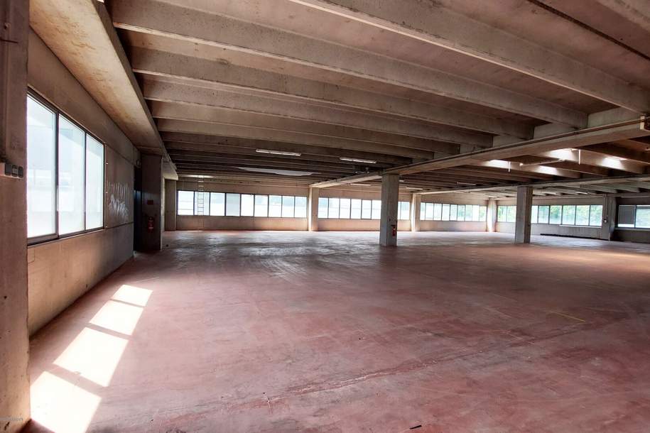 Top Gewerbestandort in Salzburg, Flexible Büroflächen & Lagerhalle, Gewerbeobjekt-miete, 22.248,00,€, 5020 Salzburg(Stadt)