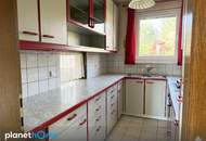 Den Frühling bereits im neuen Zuhause genießen