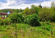 WEITBLICK INS GRÜNE - VON VILLA BIS ZWEI DOPPELHÄUSER MÖGLICH