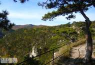 EXKLUSIVE TERRASSENWOHNUNG IN RUHIGER BESTLAGE MIT GRÜNBLICK