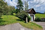 Ruhiges Wohnhaus mit eigenem Wald und Obstgarten!