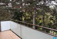 Dachgeschoss am Pötzleinsdorfer Park