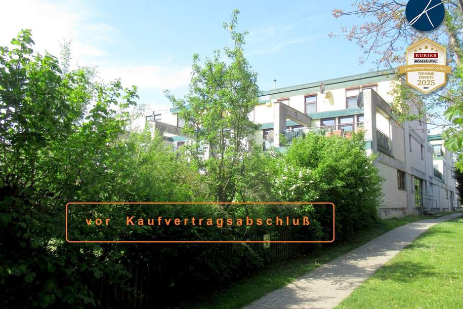 4 Zimmer mit Terrasse (Fernblick), Wohnung-kauf, 165.900,€, 2020 Hollabrunn