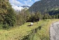 Zwei Freilandflächen mit vielseitiger landwirtschaftlicher Nutzung in Sautens!