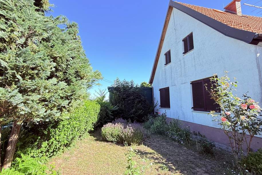 Oggau am Neusiedler See: Traumgarten in ruhiger Siedlungslage mit saniertem Einfamilienhaus!, Haus-kauf, 300.000,€, 7063 Eisenstadt-Umgebung