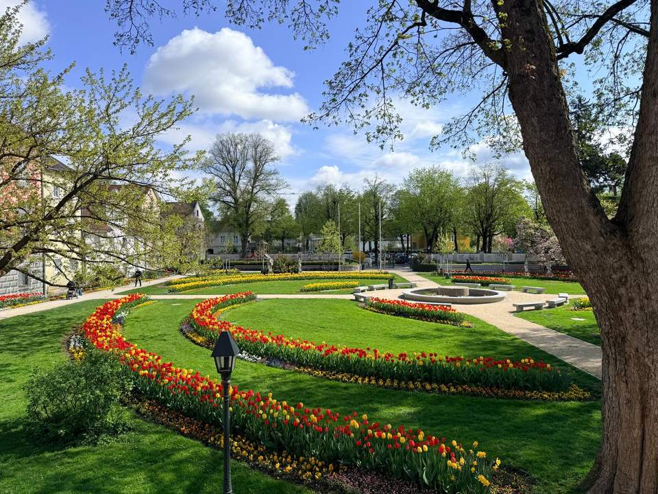 Wohnen am Burggarten * mitten in Wels und doch im Grünen