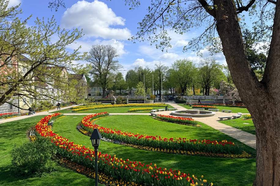 Wohnen am Burggarten * mitten in Wels und doch im Grünen, Wohnung-kauf, 149.500,€, 4600 Wels(Stadt)