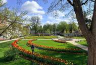 Wohnen am Burggarten * mitten in Wels und doch im Grünen