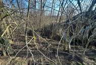 Charmanter Weinkeller mit Grünfläche im Weinviertel