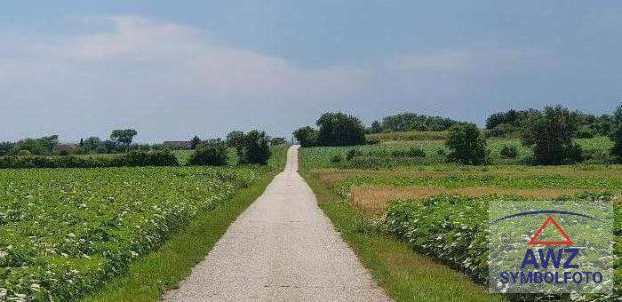 Kleines, leistbares landwirtschaftliches Grundstück in Alkoven zu verkaufen!