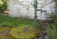 GROSSER SONNIGER BAUGRUND MIT ALTBESTAND