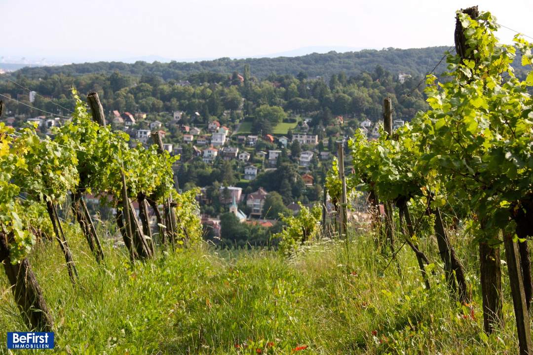 Prachtvolles Einfamilienhaus im Wiener Wald nächst Salmannsdorf/Neustift am Walde - Neubau