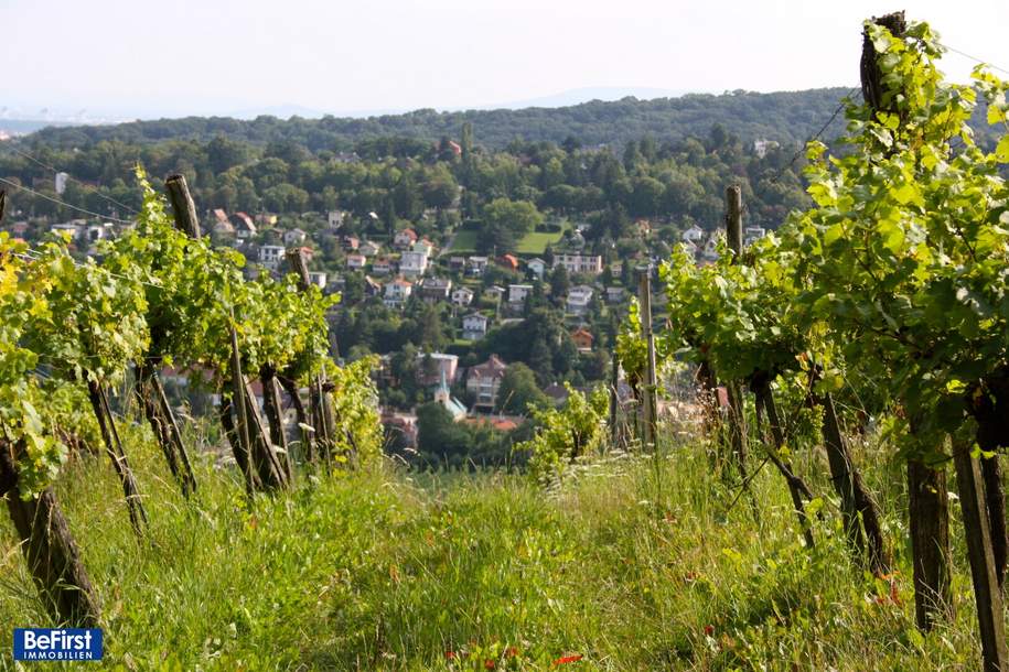 Prachtvolles Einfamilienhaus im Wiener Wald nächst Salmannsdorf/Neustift am Walde - Neubau, Haus-kauf, 1.750.000,€, 1170 Wien 17., Hernals