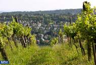 Prachtvolles Einfamilienhaus im Wiener Wald nächst Salmannsdorf/Neustift am Walde - Neubau