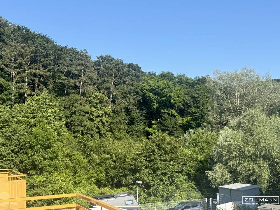 Raum zum Leben. Freiheit im Grünen. | ZELLMANN IMMOBILIEN
