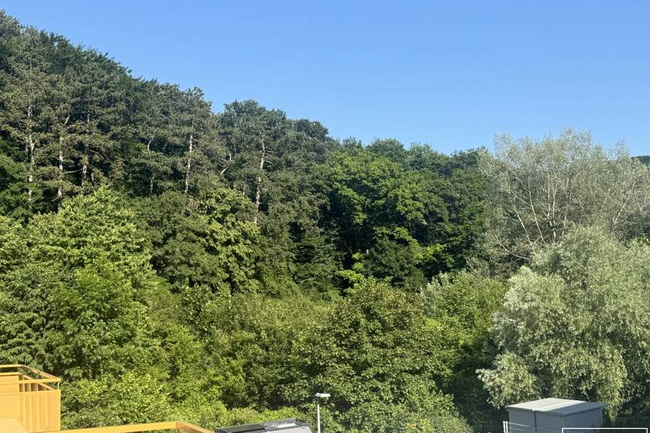 Raum zum Leben. Freiheit im Grünen. | ZELLMANN IMMOBILIEN, Wohnung-kauf, 3002 Sankt Pölten(Land)
