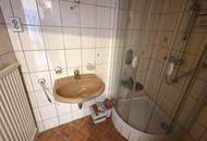 Linzer Straße/Schönbrunn: sanierungsbedürftige, ruhige 2-Zimmer Wohnung mit Grünblick