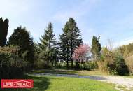 Grundstück mit Seltenheitswert am Mattsee, KEIN BAULAND