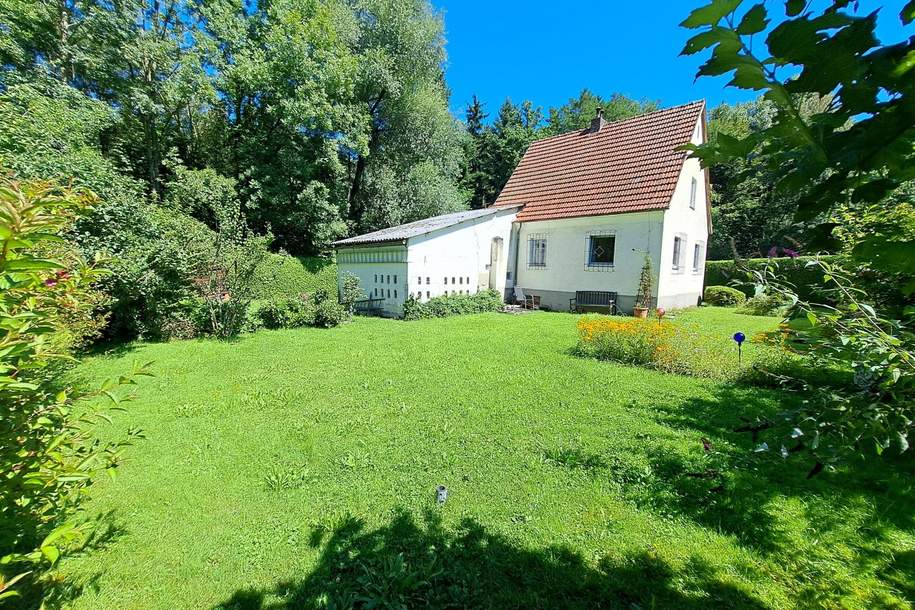 Baugrundstück mit kleinem Häuschen in idyllischer Waldrandlage - Garsten/Pergern, Grund und Boden-kauf, 220.000,€, 4400 Steyr(Stadt)