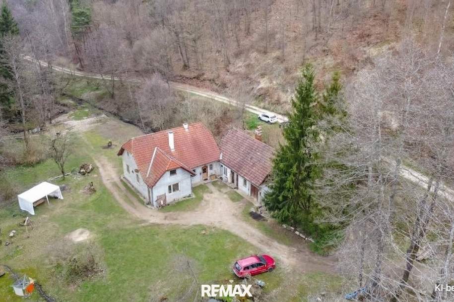 !! Neuer Preis !! Ein Rückzugsort mit Seele – Naturidylle trifft auf kreative Entfaltungsmöglichkeiten, Haus-kauf, 240.000,€, 3572 Krems(Land)
