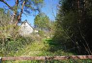 Grundstück aus Teilung in Waldrandruhelage zwischen Wolfersberg und Kolbeterberg
