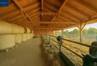 Einzigartiges Landgut im Waldviertel – 70.010 m² mit Wohnhaus, Ferienwohnungen & Alpaka/Yak-Zucht