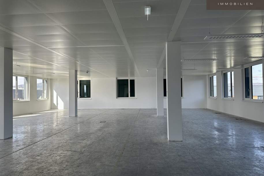 | CITY PARK VIENNA - Objekt 2 | Office Wing, Gewerbeobjekt-miete, 11.693,80,€, 1230 Wien 23., Liesing