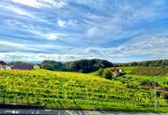 2-Zimmer Wohnung mit traumhaften Panoramablick inmitten der Weinberge von Klöch - Erstbezug!