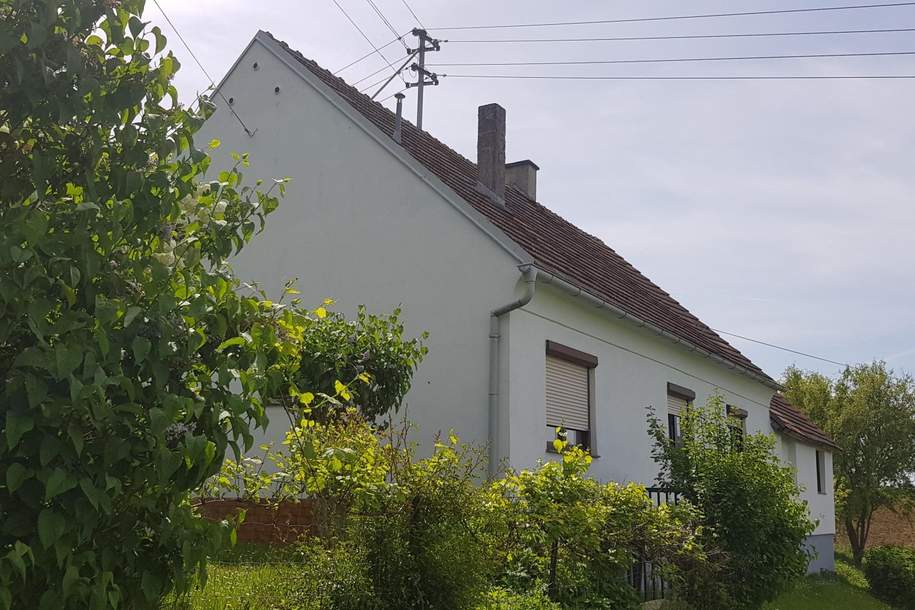 Einfamilienhaus mit Nebengebäuden und Garten, Haus-kauf, 170.000,€, 7534 Güssing