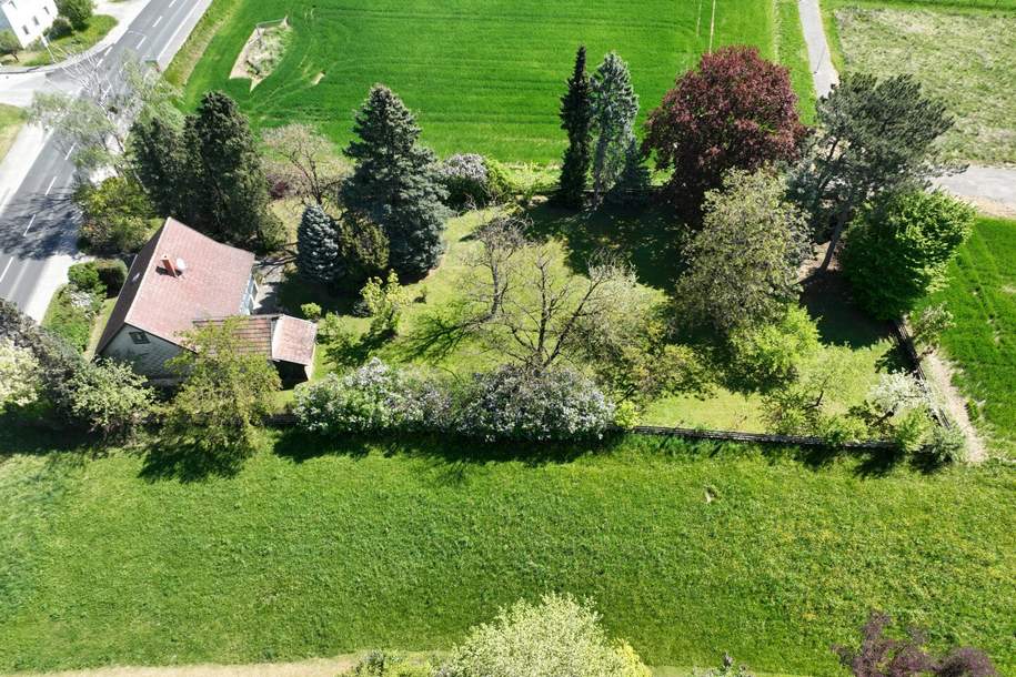 Neuer Preis – Kleines Haus auf großem Baugrund in Pöchlarn, Bezirk Melk, Haus-kauf, 179.000,€, 3380 Melk