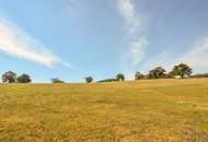 Einfamilienhaus mit unverbaubarem Fernblick im Wienerwald