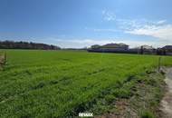 Grundstück Nr 2 mit 890 m² in Top-Lage - Gralla bei Leibnitz zu verkaufen