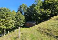 Ein Juwel, ein Sacherl des 18. Jahrhunderts – Historisches Anwesen mit modernem Wohntraum und idyllischem Grundstück!